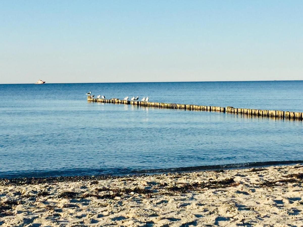 Aparthotel Waterkant Suites - Fewos Am Meer Mit Spa Borgerende-Rethwisch Bagian luar foto